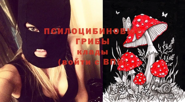 шишки Медвежьегорск