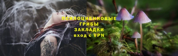 шишки Медвежьегорск