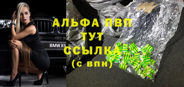 шишки Медвежьегорск