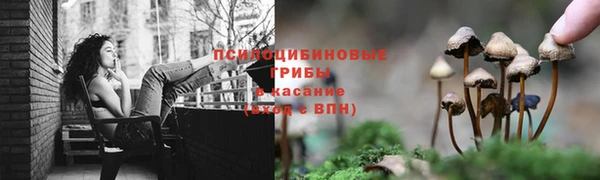 первитин Медногорск