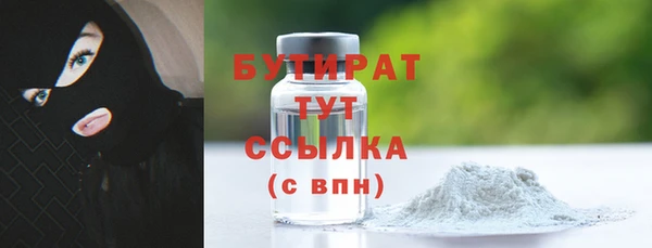 шишки Медвежьегорск