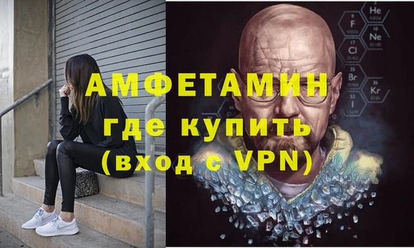 шишки Медвежьегорск