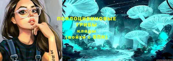 шишки Медвежьегорск