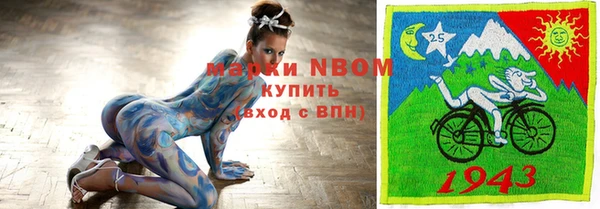 шишки Медвежьегорск