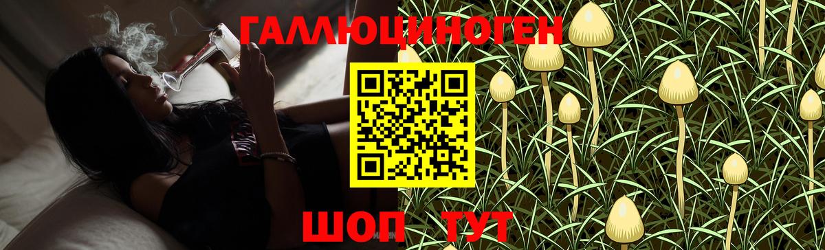 Галлюциногенные грибы Psilocybine cubensis  Псилоцибиновые грибы Cubensis  Донецк  Вход с VPN 