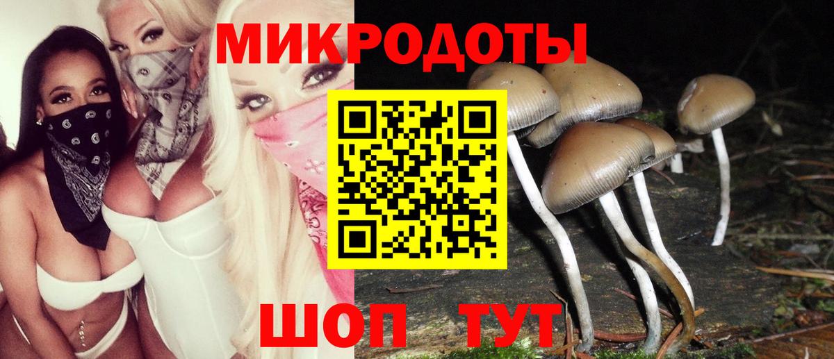 Псилоцибиновые грибы MAGIC MUSHROOMS  Донецк 