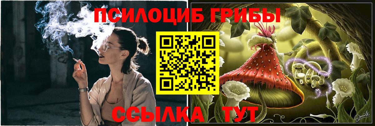 Псилоцибиновые грибы прущие грибы Донецк